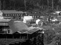 Seddonville