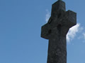 detail image