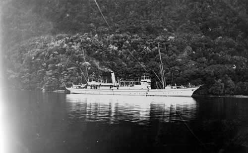 The government steamer Hinemoa
