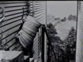 film clip