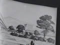 film clip