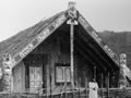 Maori building