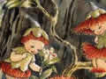 A picture from children's book