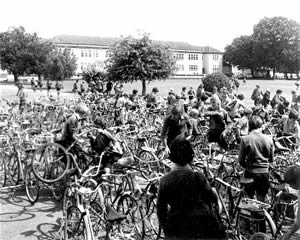 School bikes