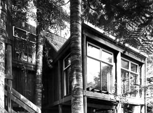 Pole house