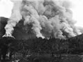 Bush fires