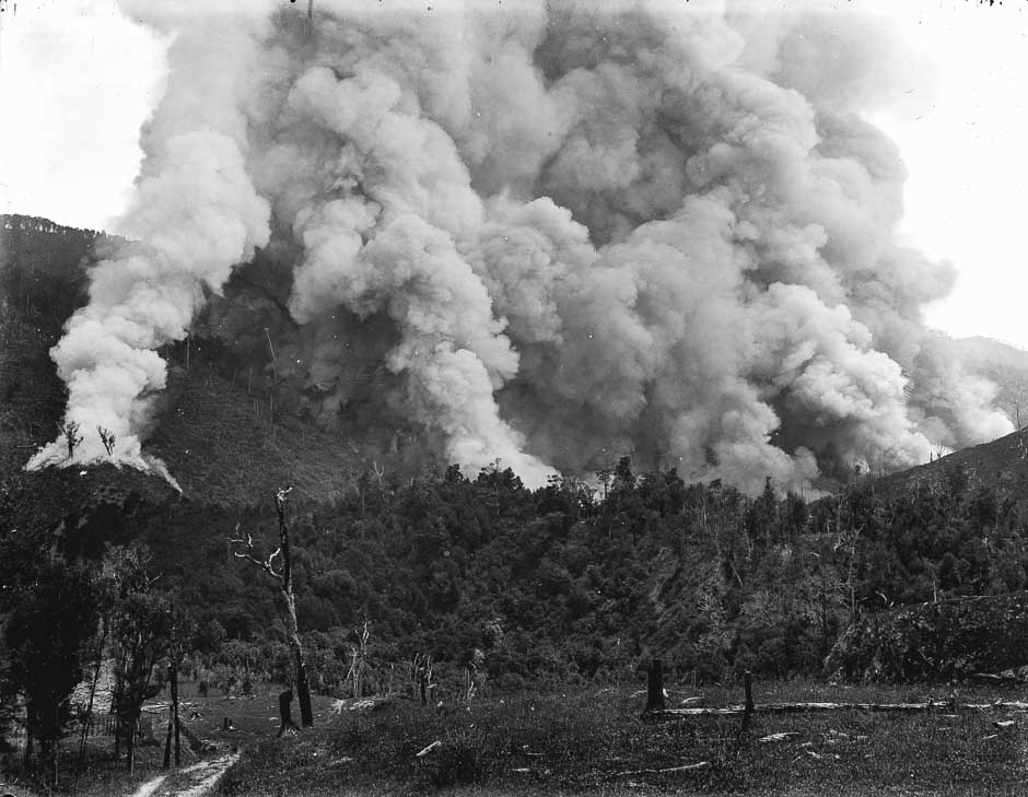 Bush fires