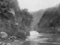 Whanganui River