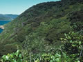 Motuara Island