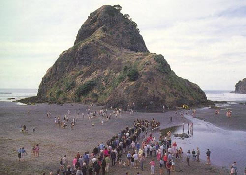 Lion Rock, Piha war memorial