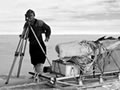 Geological surveys