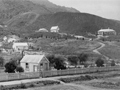 Te Aroha Domain