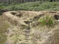 Te Porere redoubt