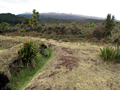 Te Porere redoubt