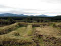 Te Porere redoubt