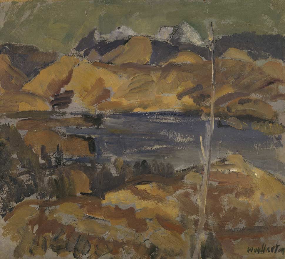 View towards Mount Richmond, Toss Woollaston