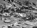 Turkish casualties at Gaza