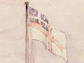 Maori beneath United Tribes flag