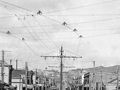 Wires in Adelaide Road, Wellington