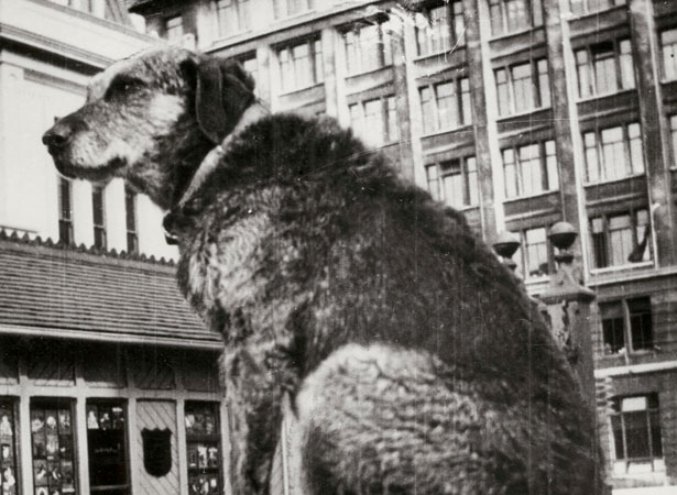 Paddy the Wanderer, 1935