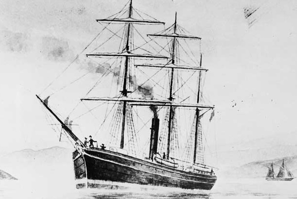 The White Swan