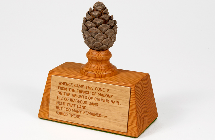 Chunuk Bair pine cone
