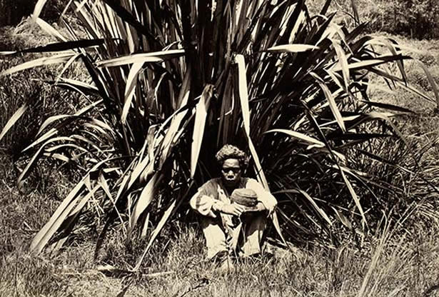 Flax worker from the New Hebrides