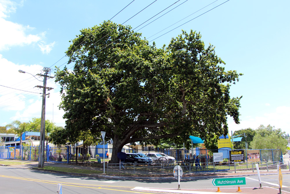 New Lynn School memorial
