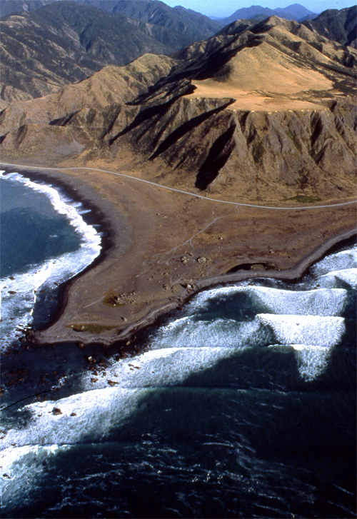 Palliser Bay
