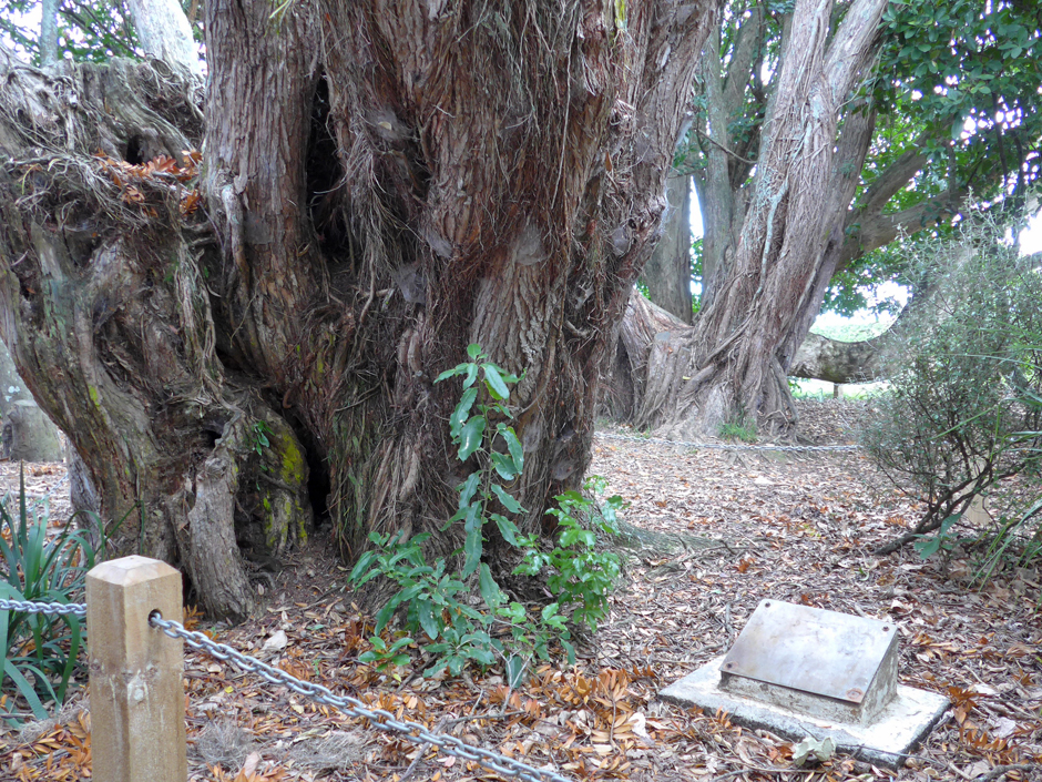 Puni school memorials