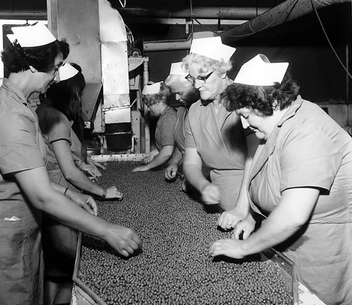 Sorting peas