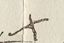 Signature of Wai