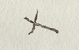 Signature of Wiremu Taunui