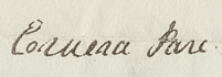 Signature of Eruera Pare Hongi