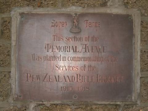 Wanganui seat memorial (detail)