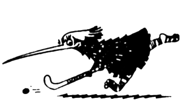 Kiwi holding a hockey stick chasing a ball