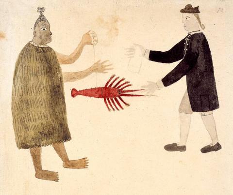 Painting of Joseph Banks by Tupaia