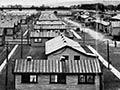 Featherston training camp