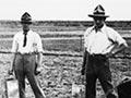 Tauherenikau training farm