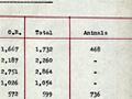 Transport of NZ Division to France, 1916