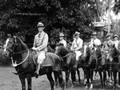 Artillery horses on Samoa 