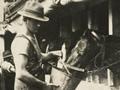 Horses stabled on Transport ship