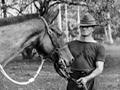 Horses suffering from disease on Samoa 