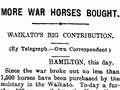 Purchasing Waikato horses for war