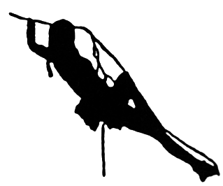 Silhouette of woman climbing