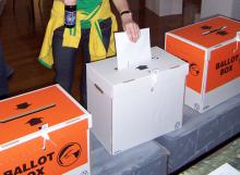 Casting a special vote, 2008