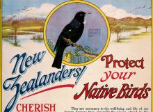 New Zealand Native Bird Protection Society poster, 1920s