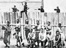 Captain Thomas Porter with his Māori 'auxiliaries'