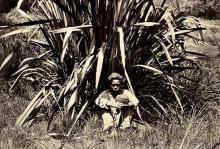 Flax worker from the New Hebrides