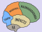 Outline of human brain with different coloured sections titled Tuakiri, Whakapapa, Maumaharatanga, Impacts, and Vā